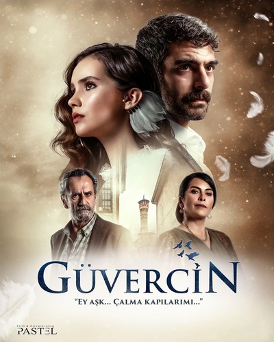 Guvercin (Paloma)